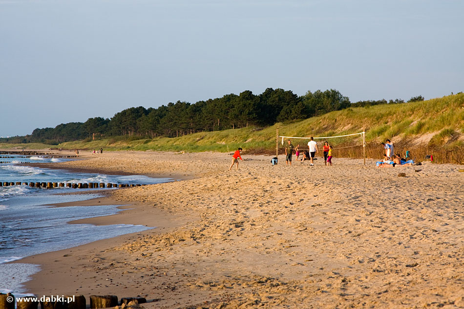 Dąbkowice